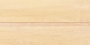 Керамическая плитка AltaСera Briole WT9BRE11 Wood настенная 24,9х50