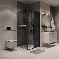 Душевой уголок Niagara Nova 1950x1000x900 (тонированное стекло) черный матовый NG-85-9TB-TB100-34