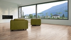 Ламинат Kronotex Mammut D3081 Дуб Эверест Серебро (бежевый)