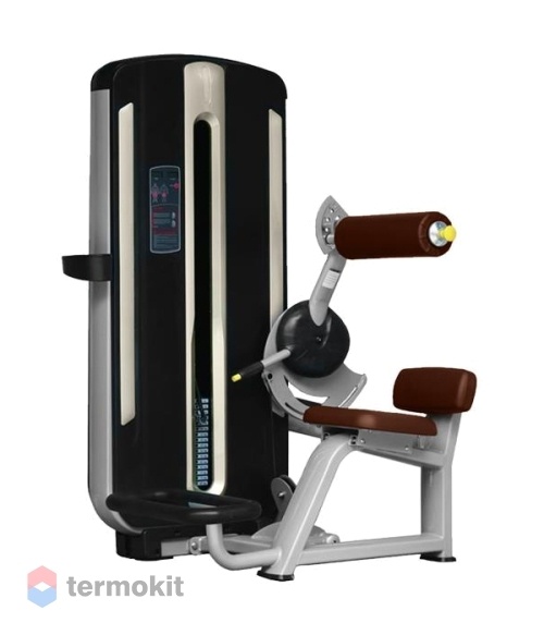 Разгибание спины Bronze Gym MNM-009