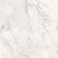 Керамогранит La Faenza Aesthetica AE CAL6 120 LP 120х120