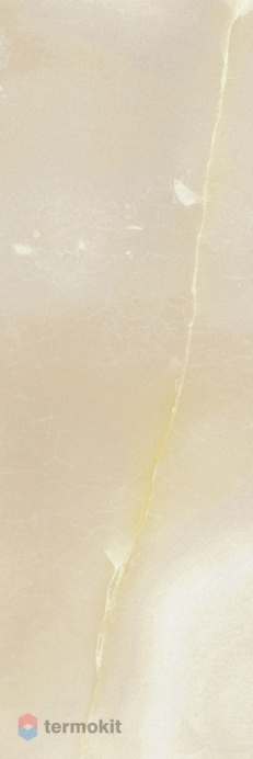 Керамическая плитка Италон Charme Evo Onyx (600010000893) Настенная 25x75