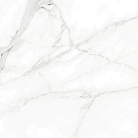 Керамогранит Naxos Rhapsody 120359 White Beauty Nat+Rett 60x60