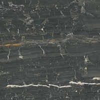 Керамическая плитка Dune Leonardo 187970 Black напольная 90x90