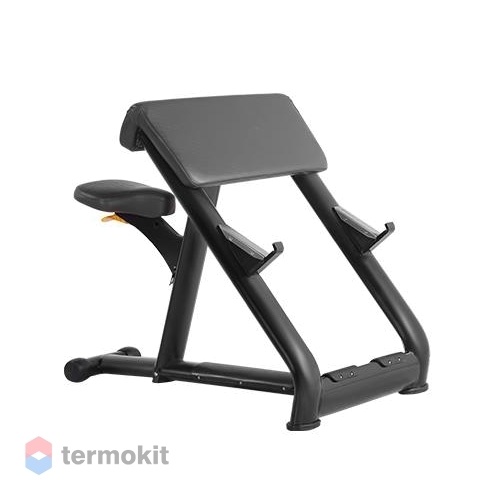 Скамья Скотта Bronze Gym H-040A_B черная