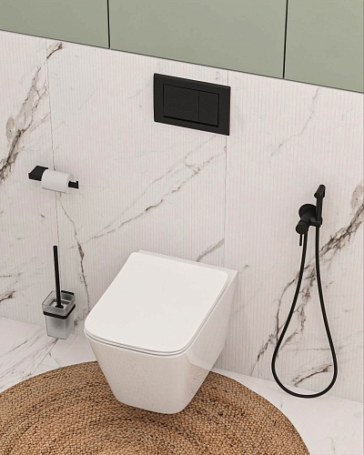 СЕНСО СТАТУАРИО