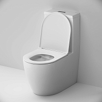 Унитаз напольный AM.PM Func безободковый с бачком с сиденьем микролифт C8F8900SC