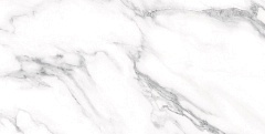 Керамогранит Staro Palacio Majestic White Polished 60x120
