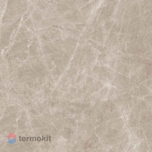 Керамогранит Neodom Marblestone N20462 Frappuccino Taupe 120x120 