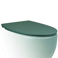 Крышка-сиденье AeT Dot 2.0 с микролифтом SoftClose зеленый мох матовый C555R143