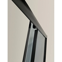 Душевой уголок Niagara Eco 1950x1000x1000 с поддоном (тонированное стекло) черный 0101432QT