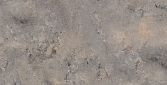 Керамогранит Gayafores Ardesia Gris 32x62,5