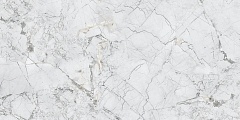 Керамогранит Evolution Ceramic Invisible Grey 60x120