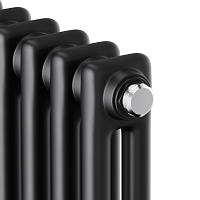 Стальной трубчатый радиатор Royal Thermo Insignia C2180/06 секций с боковым подключением черный RAL9005m