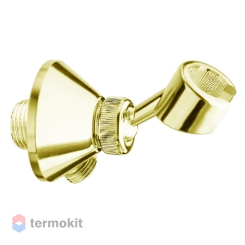 Шланговое подключение Webert Comfort золото AC0441010