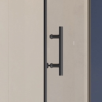 Душевая дверь RGW Hotel HO-011B 800х1950 черный 350601108-14 Уцененная