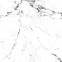 Керамогранит Arcadia Ceramica Borghini Silver Carving 60x60