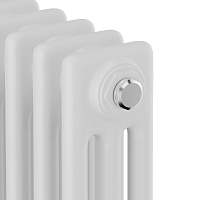 Стальной трубчатый радиатор Royal Thermo Insignia C3030/34 секции с боковым подключением белый RAL9016