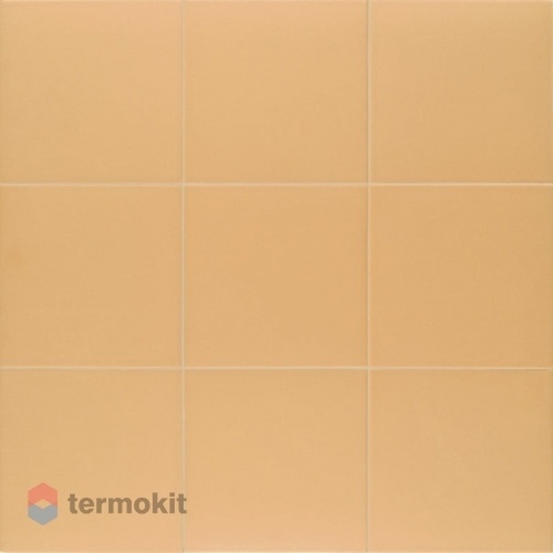 Керамогранит Mainzu Technical Tangerine 20х20