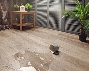 Aquafloor Realwood Glue