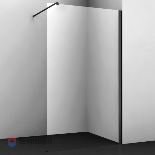 Душевая перегородка WasserKRAFT Abens 900х2000 черный 20W39