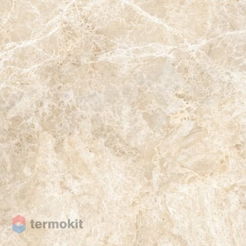Керамогранит Neodom Sixty CV20248 Emperador Beige Polished 60x60