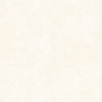 Керамическая плитка Eurotile Ceramica Madeni 571 Light напольная 49,5x49,5
