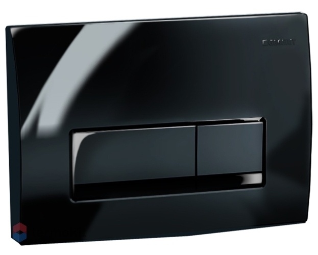 Клавиша смыва GEBERIT Delta 51 черный 115.105.DW.1