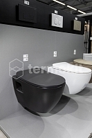 Сиденье для унитаза CREAVIT Duck микролифт черный матовый KC0903.01.1400E УЦЕНЕННЫЙ