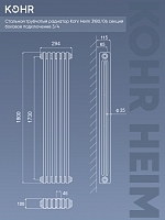 Стальной трубчатый радиатор Kohr Heim 3180/06 секций с боковым подключением 3/4 RAL1015