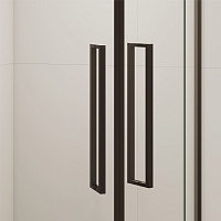 Душевой уголок RGW Stilvoll SV-53B 2000x900x900 черный 06325399-14