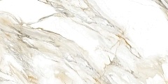 Керамогранит Velsaa Calacata Paonazzo 60x120