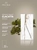 Керамогранит Oliver Kohr Calacatta Gold OK101689539 Matt 60x120