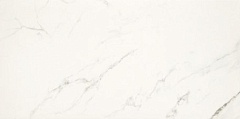 Керамогранит Casalgrande Padana Marmoker Statuario Grigio Lucido (2464817) 59х118