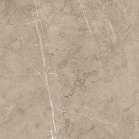 Керамогранит Porcelanite Dos 8215 Vision 50x50