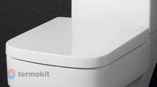 Сиденье для унитаза BelBagno Janice с механизмом Microlift BB124SC