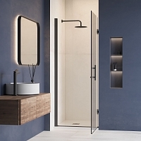 Душевая дверь RGW Hotel HO-011B 800х1950 черный 350601108-14 Уцененная