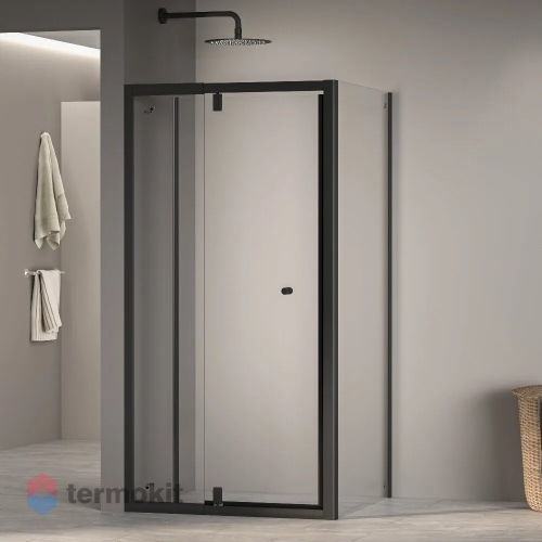 Душевой уголок RGW Passage 1850x1000x1000 черный матовый 41083200-014