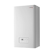 Газовые котлы Protherm Гепард