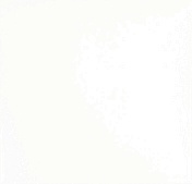 Керамическая плитка Monopole Armonia Blanco Brillo Bisel настенная 15x15