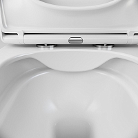 Унитаз подвесной AM.PM Spirit 2.0 с сиденьем микролифт C701701SC