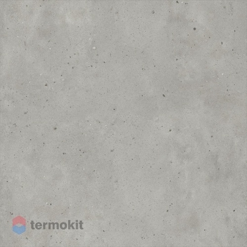 Керамогранит Италон Avantgarde 600010001806 Silver Matt Rect 120х120