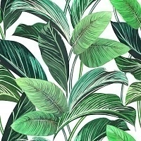 Керамогранит Serenissima Showall Wall07 White Leaf  Rett 120х120 (комп/2шт)