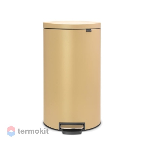 Мусорный бак Brabantia FlatBack+ 30 л минерально-золотой 119583