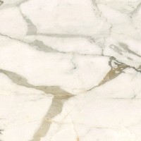 Керамогранит LCM Calacatta Borghini 6060CBO55P 60x60
