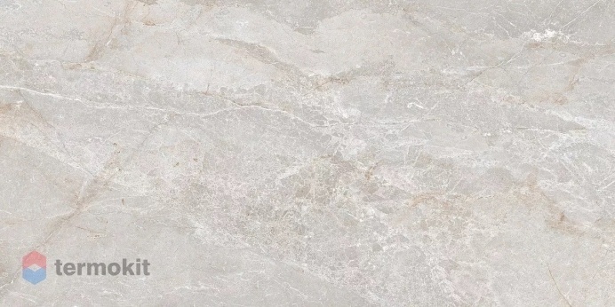 Керамогранит Art Ceramic Stonico Oyster Grey Glossy 60x120