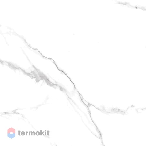Керамогранит Neodom Sixty CV20208 Mckinley Polished 60x60