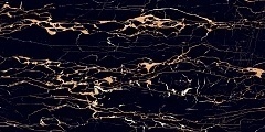 Керамогранит Art Ceramic Portoro Gold 60x120
