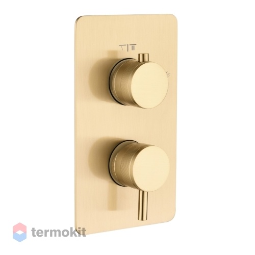 Встраиваемый смеситель для душа Boheme CELL MATT GOLD 135-2-MG