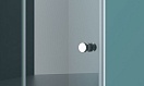 Душевая дверь BelBagno ALBANO 600x1950 хром ALBANO-BS-12-60-C-Cr